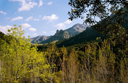 Galería fotográfica